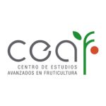Logo ceaf colores 2