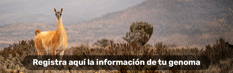 Registratuinformacion